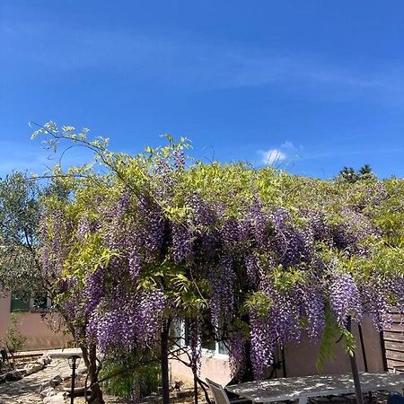 Le Clos Des Olivettes Bed and Breakfast Sainte-Croix-de-Quintillargues Esterno foto