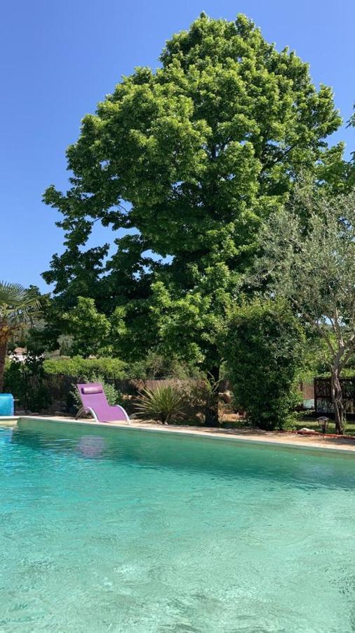 Le Clos Des Olivettes Bed and Breakfast Sainte-Croix-de-Quintillargues Esterno foto